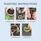 Plantation Products Ferry-Morse 15 Cells 3 in. H X 3 in. W X 3 in. L Seed Starting Peat Pot 15 pk FR312B - alternate 2
